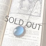 画像: モルフォ蝶のシルバーペンダント