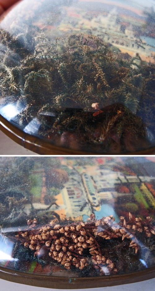 画像: ルルドの風景のアンティークガラスフレーム