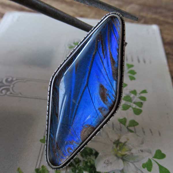 画像: モルフォ蝶のシルバーブローチ